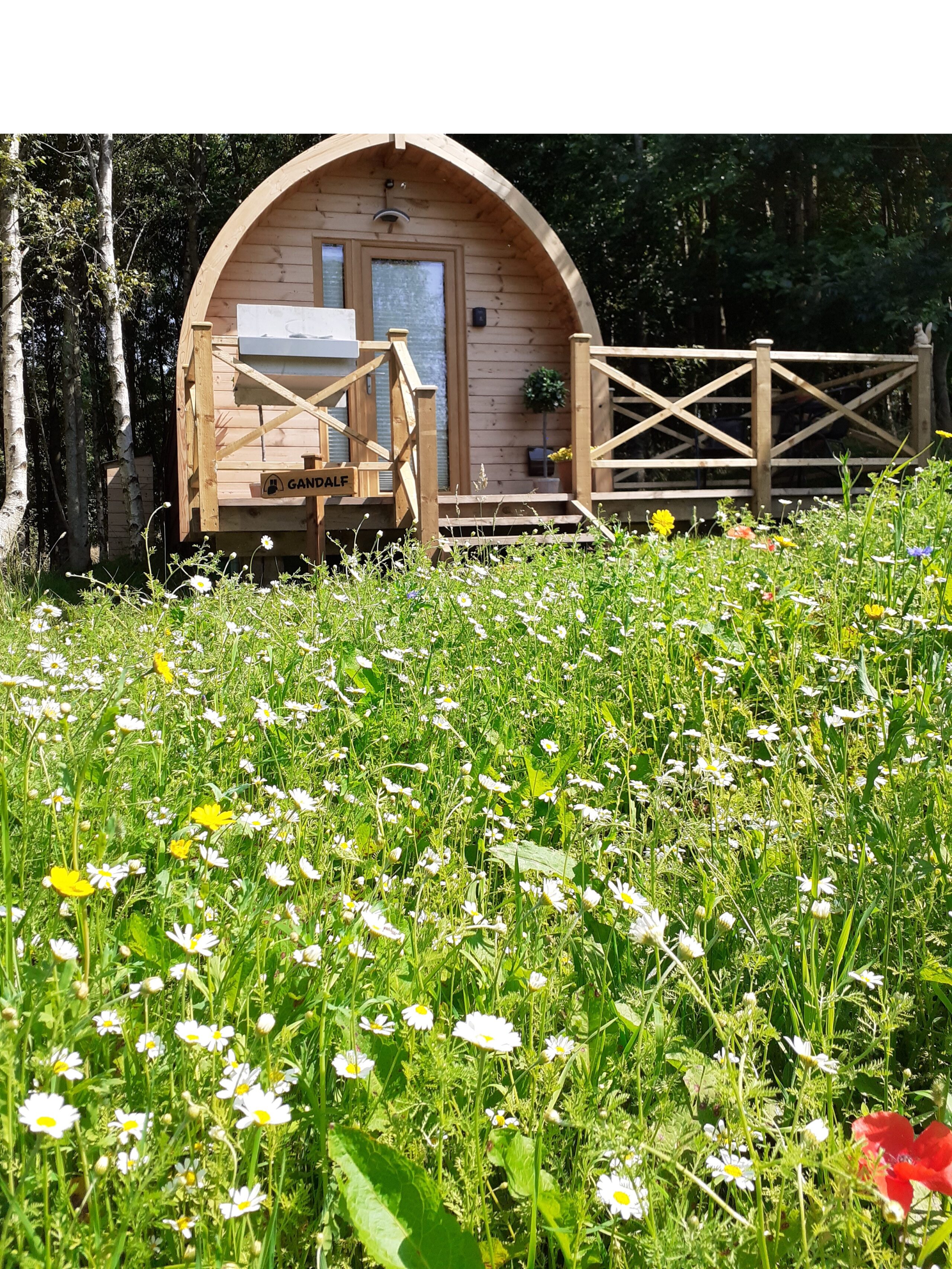 Trawden Forest Glamping – The perfect Glamping site. Located in Trawden ...